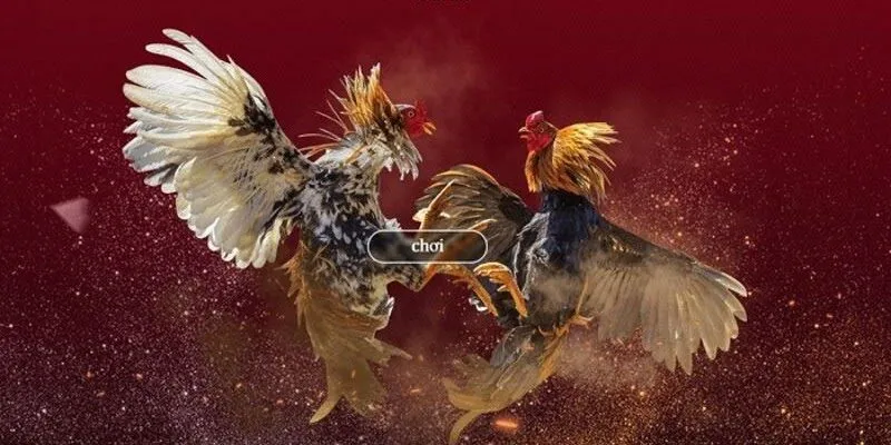 Không gian trò chơi chuyên nghiệp